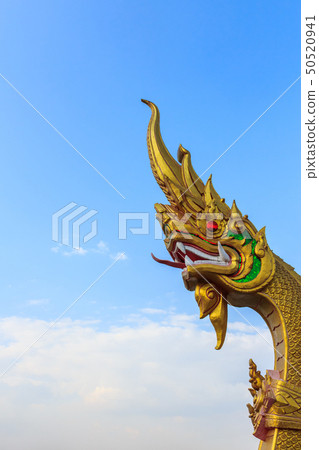 The golden serpent head . The golden serpent head . 50520941