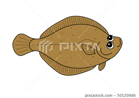 卡雷比目魚 卡雷比目魚 50520986