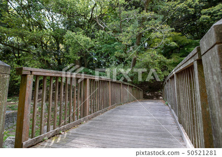 Avenue of avenues in Fukuoka City West Park Avenue of avenues in Fukuoka City West Park 50521281