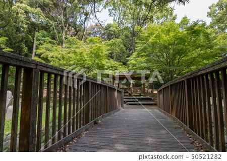 福岡市西部公園的大道 50521282