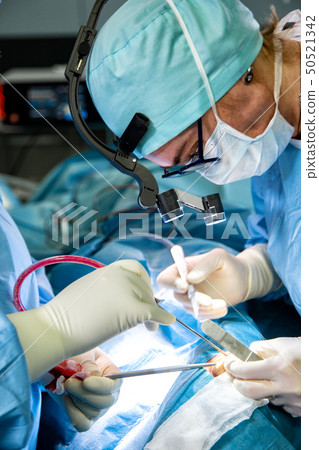 Surgeon performing surgery in hospital operating room. Surgeon in mask wearing loupes during medical Surgeon performing surgery in hospital operating room. Surgeon in mask wearing loupes during medical 50521342
