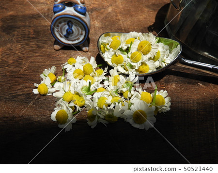 Chamomile 2 Chamomile 2 50521440