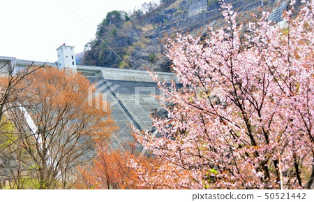 Spring Toyoga Dam 50521442