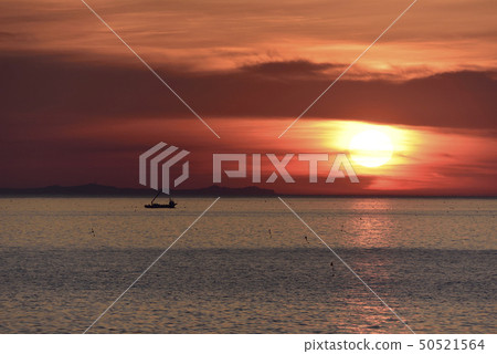 在北海道森町火山灣（宇智灣）拍攝朝陽和扇貝漁船在地平線上升的風景 50521564