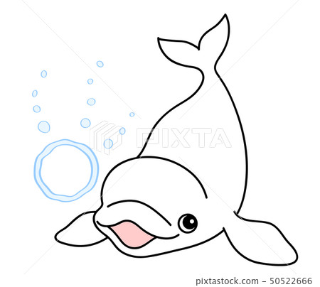 White Dolphin Beluga Bubble Ring Beluga whitedolphin 50522666