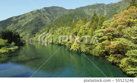 Fresh green Itatorikawa Shiratani Dam 50523246