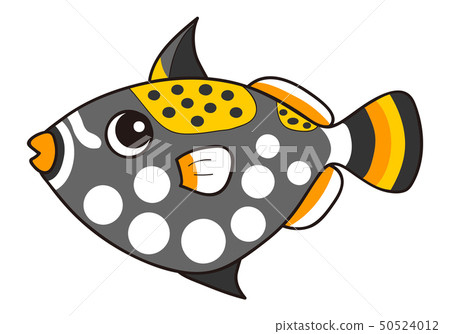 Triggerfish Balistoides Triggerfish Balistoides 50524012