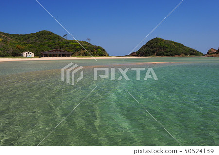 美麗的荒涼的海灘 50524139