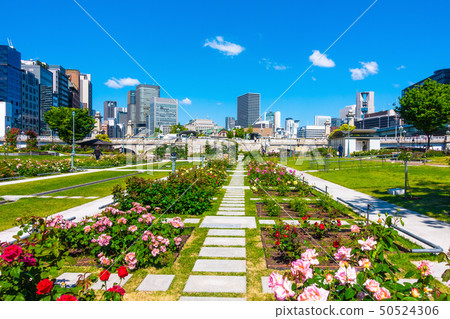 中之島公園 50524306