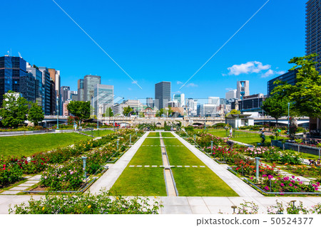 中之島公園 50524377