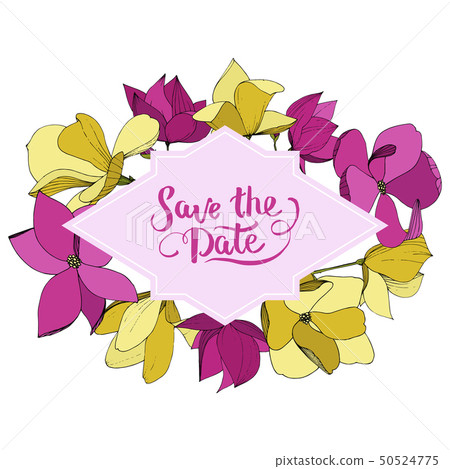 Vector Magnolia floral botanical flowers. Purple and yellow engraved ink art. Frame border ornament 50524775