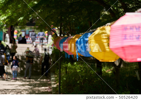 Lanterns, Buddhism, Buddha birthday 50526420