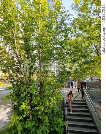 Business Woman, Korea, Seoul, Yeouido, Securities, Skyscraper, Building Forest, City, Lifestyle, 50527038