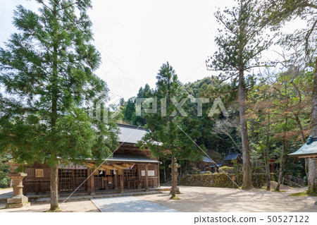 Tamakusu Shrine 50527122