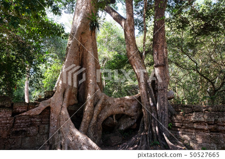 The ruins of ancient buildings The ruins of ancient buildings 50527665