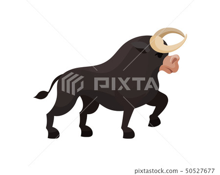 Black bull with big horns. Vector illustration on white background. Black bull with big horns. Vector illustration on white background. 50527677