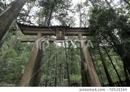 飛Folk神社的鳥居 飛Folk神社的鳥居 50528384