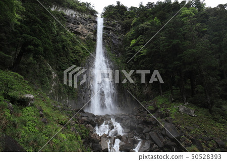 Nachi's waterfall Nachi's waterfall 50528393