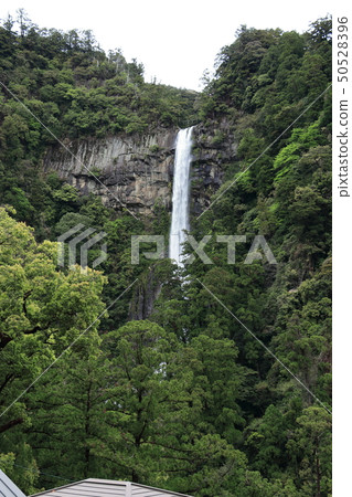 Nachi's waterfall Nachi's waterfall 50528396