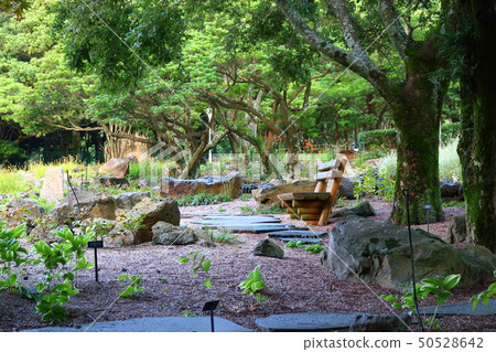 Halla arboretum, park, trees, plants, Halla arboretum, park, trees, plants, 50528642