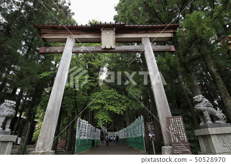 Kumano Honen Palace Taisei的鳥居 Kumano Honen Palace Taisei的鳥居 50528970
