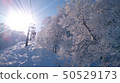 Nozawa Onsen Ski Resort To the summit 50529173