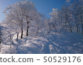 Nozawa Onsen Ski Resort Backcountry 50529176
