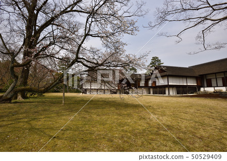 Katsura Rikyu Shogunin Katsura Rikyu Shogunin 50529409