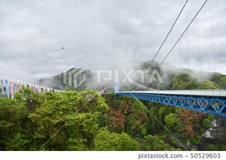 After the rain, the Ryujin Dai Suspension Bridge After the rain, the Ryujin Dai Suspension Bridge 50529603