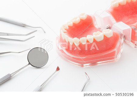 Dental image Dental image 50530196