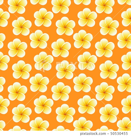 Seamless Plumeria flowers. Beautiful tropical jungle fabric pattern background 50530455
