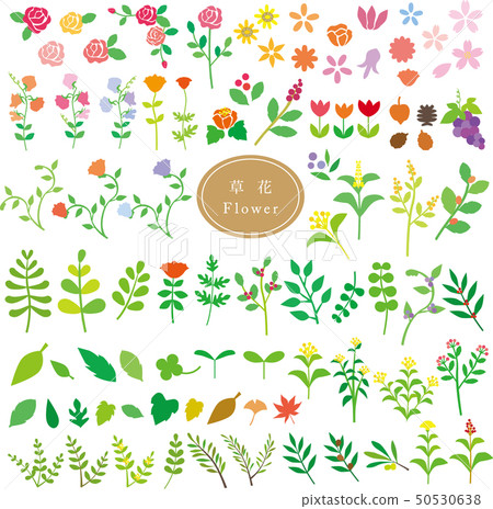 Set of flowers 50530638