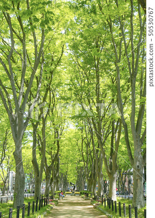 Jojo Temple Street Keyaki內襯仙台市 50530767