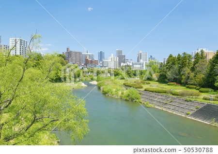 Hirose River Sendai city panoramic view fresh green Hirose River Sendai city panoramic view fresh green 50530788