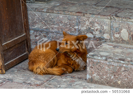 Old Town of Lijiang China 中國雲南麗江古城 World Heritage Old Town of Lijiang China 中國雲南麗江古城 World Heritage 50531068