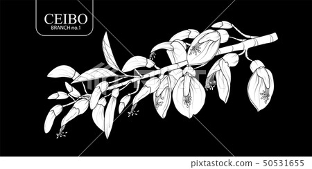 white silhouette Ceibo branch set 1. 50531655