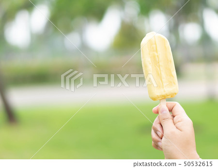 Woman hand holding ice cream with nature garden Woman hand holding ice cream with nature garden 50532615