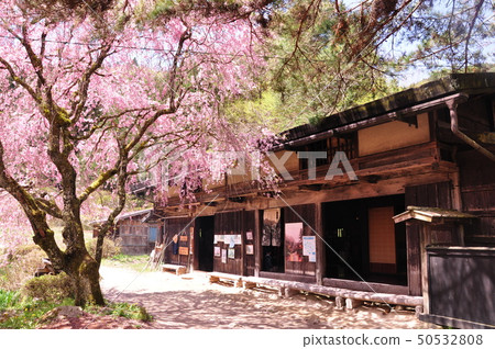 One stone bowl stand teahouse One stone bowl stand teahouse 50532808