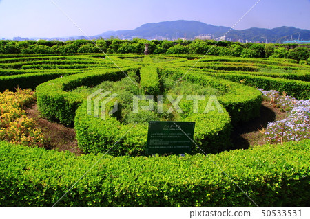 Yanagisa Lake Kotokoen (Otsu City, Shiga Prefecture) not garden Yanagisa Lake Kotokoen (Otsu City, Shiga Prefecture) not garden 50533531