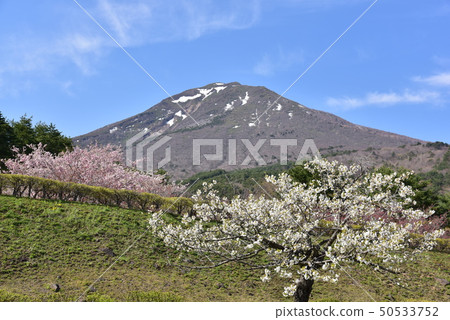 萬代 萬代 50533752