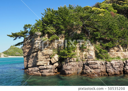 一個美麗的荒島的圖像 50535208