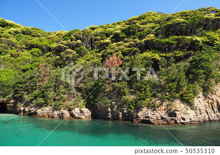 Image of a beautiful desert island 50535310