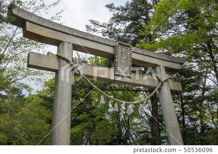 Tamaki shrine 50536096