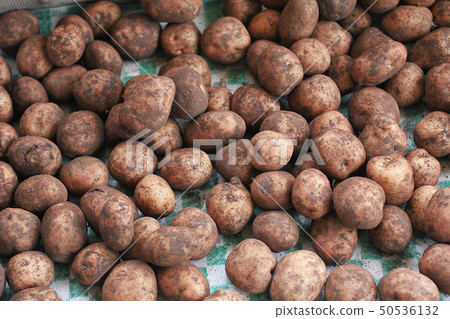 Potatoe, potato, dirty potato background. Potatoes in the market Potatoe, potato, dirty potato background. Potatoes in the market 50536132