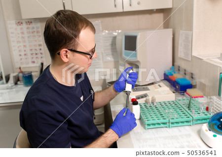 laboratory assistant analyzing a blood sample laboratory assistant analyzing a blood sample 50536541