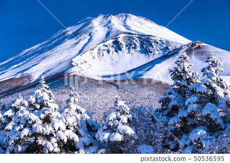 <靜岡縣>富士山，大雪和霜 50536595
