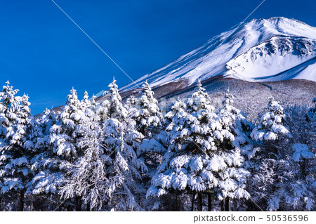 <靜岡縣>富士山，大雪和霜 50536596