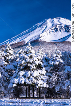 静冈县 富士山 大雪和霜 图库照片