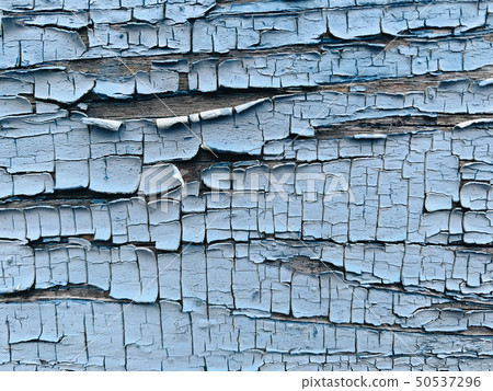 Vintage wood background with peeling paint Vintage wood background with peeling paint 50537296