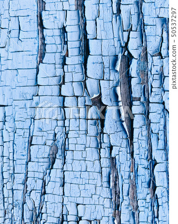 Vintage wood background with peeling paint Vintage wood background with peeling paint 50537297